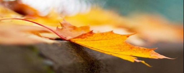 立秋的时间(立秋的时间是几月几日?)