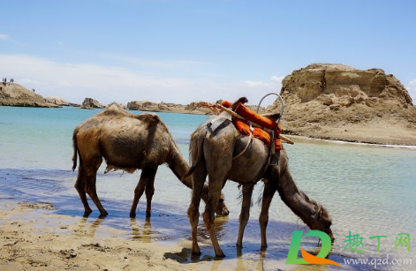 国庆大西北旅游人多吗(大西北旅游好吗)