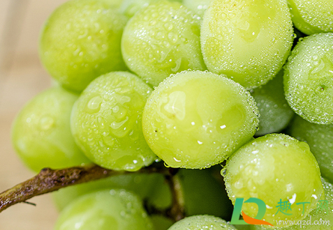 阳光玫瑰太甜了会不会糖分太高(阳光玫瑰 太甜了) 阳光玫瑰太甜了会不会糖分太高(阳光玫瑰 太甜了)