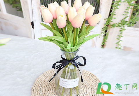 插花水里放盐还是糖(绣球插花水里放盐还是糖)