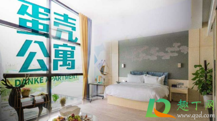 蛋壳公寓断网了找谁(蛋壳公寓断电) 蛋壳公寓断网了找谁(蛋壳公寓断电)