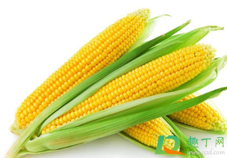 玉米泡酒可以钓鲤鱼吗(钓鲤鱼玉米泡酒钓鱼配方大全) 玉米泡酒可以钓鲤鱼吗(钓鲤鱼玉米泡酒钓鱼配方大全)