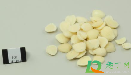 吃了苦杏仁用什么解毒(怎么解苦杏仁的毒) 吃了苦杏仁用什么解毒(怎么解苦杏仁的毒)