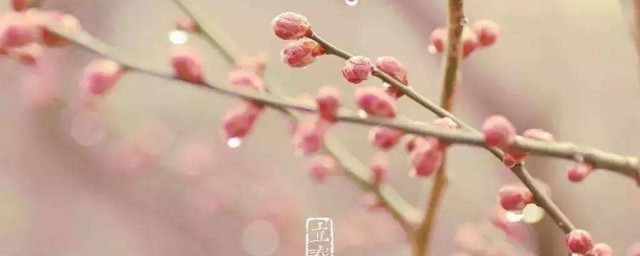 节气立春的含义是什么呢？(春天的节气立春是什么意思)