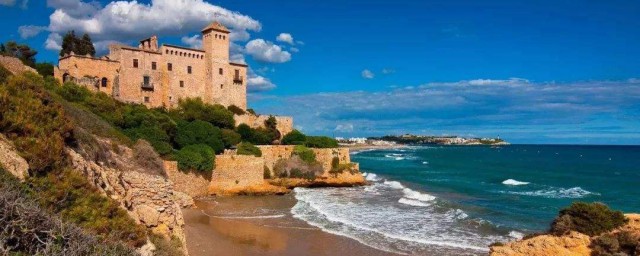 该片的文化意义是什么(电影文化是什么)