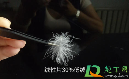 充绒量200g的羽绒服暖和吗(充绒量100克的羽绒服保暖吗)