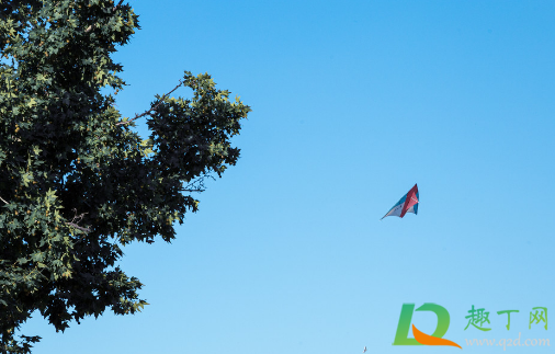 风筝为什么见远不见高(风筝如何放高而不是放远) 风筝为什么见远不见高(风筝如何放高而不是放远)