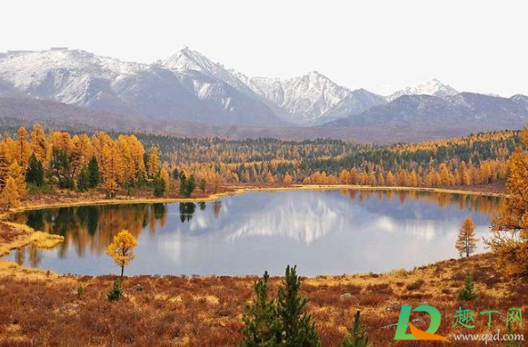 2020国庆节可以去新疆旅游吗(新疆国庆旅游政策)