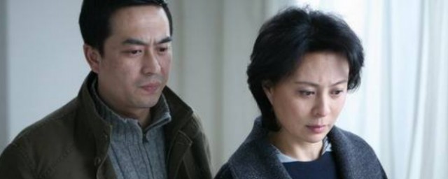 电视剧婚姻背后讲的是什么(电视剧讲婚姻进行到底)