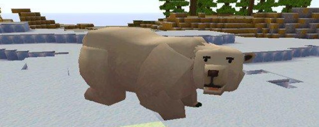 运冰熊回家(送北极熊回家)