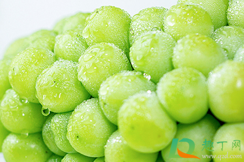 阳光玫瑰太甜了会不会糖分太高(阳光玫瑰 太甜了) 阳光玫瑰太甜了会不会糖分太高(阳光玫瑰 太甜了)