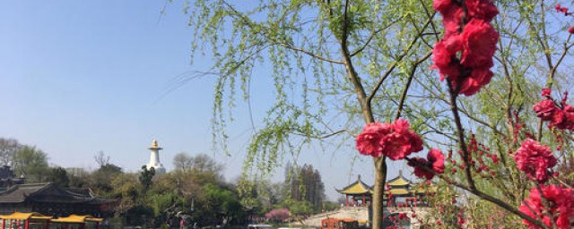 几个景点不可错过(不得不去的景点)