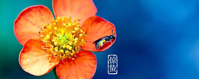 惊蛰日注意事项有哪些(惊蛰节气应注意什么)