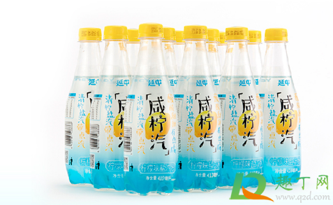 盐汽水是碳酸饮料吗(八王寺盐汽水是碳酸饮料吗)