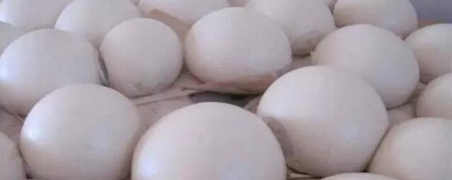 原来是少了这一步