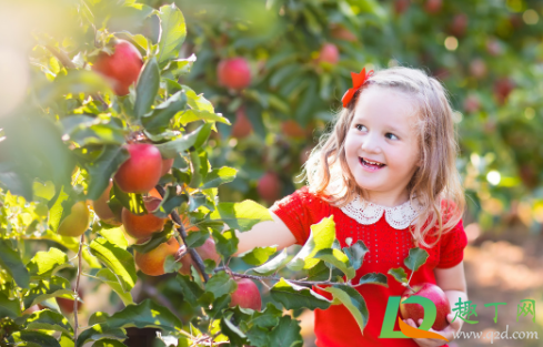 下雨天摘水果会不会容易烂(水果淋雨后易烂)