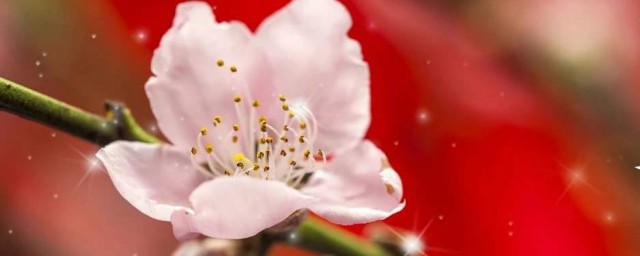 你都听过吗(你们一定听过)