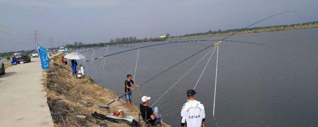 应该如何钓鱼(钓鱼怎么钓)