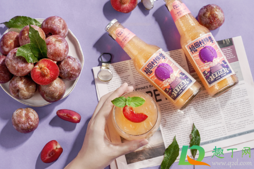 盐汽水可以放冰箱冷冻吗(盐汽水不能冻冰吗)