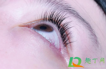 接睫毛真睫毛会掉吗(接了睫毛会掉吗) 接睫毛真睫毛会掉吗(接了睫毛会掉吗)