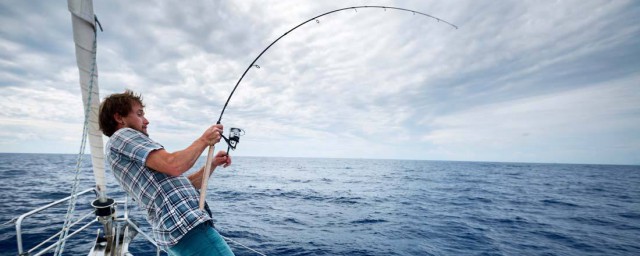 鱼竿28调和37调有什么区别?(鱼竿28调还是37调是什么意思)