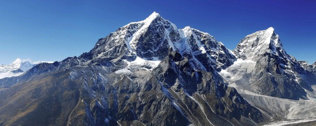 最典型的是什么(最典型的是什么生态系统)