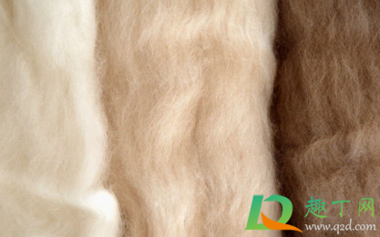 羊绒毛衣起球了怎么处理(羊绒衣起球怎么办)