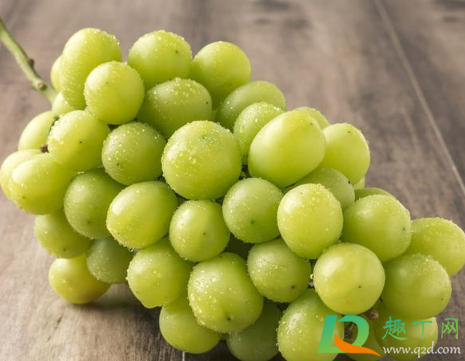 阳光玫瑰能带皮吃吗(阳光玫瑰要剥皮吃吗)