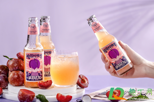 盐汽水可以放冰箱冷冻吗(盐汽水不能冻冰吗)