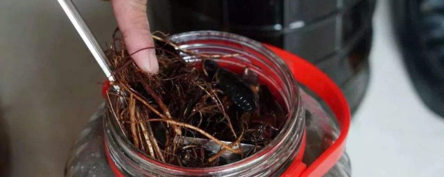 这些保健作用你知道吗(什么叫保健作用)