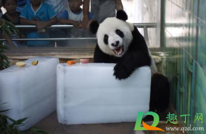 室内放冰块能降温吗(冰块能让室内降温吗) 室内放冰块能降温吗(冰块能让室内降温吗)