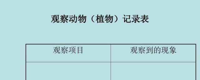 小学生 最好看的格式