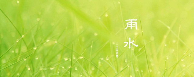 雨水的节气特点(雨水节气的特点)