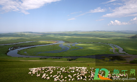 现挤羊奶煮沸就安全了吗(现挤的羊奶煮开后还有营养吗) 现挤羊奶煮沸就安全了吗(现挤的羊奶煮开后还有营养吗)