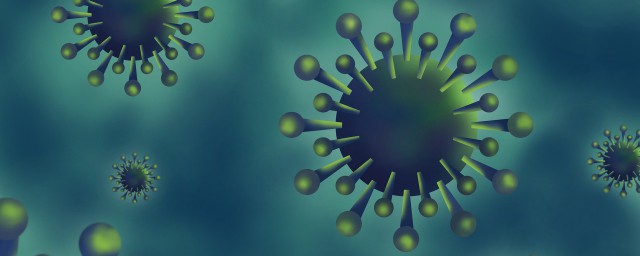 网络上的零号病人传闻是怎么回事(病毒零号病人)