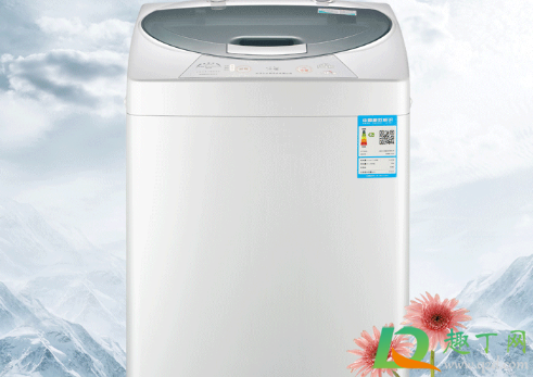 蟑螂在洗衣机里洗碎了用消毒液可以吗(洗衣液消毒水可以杀蟑螂吗)