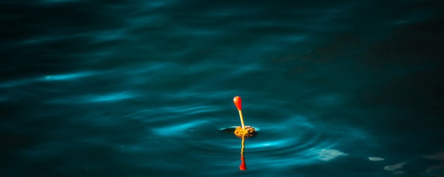 鱼漂是做什么用的(鱼的鱼漂有什么作用)