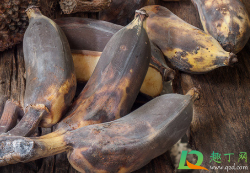 坏了的香蕉可以做花肥吗(坏香蕉可以给花沤肥吗)