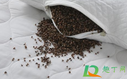 荞麦枕头用几年需要换吗(荞麦皮枕头用几年换)