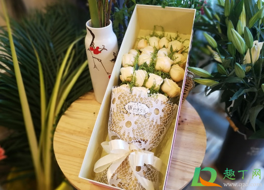 教师节玫瑰花和康乃馨哪个适合送老师(教师节能送康乃馨花吗)