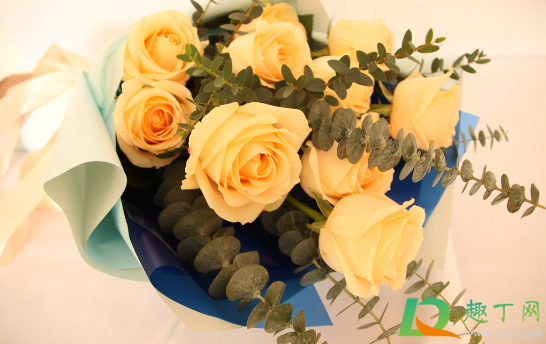 教师节玫瑰花和康乃馨哪个适合送老师(教师节能送康乃馨花吗)