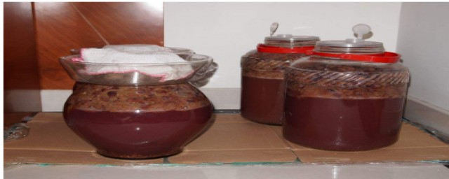 自做葡萄酒有什么危害？(自制葡萄酒有害健康吗)