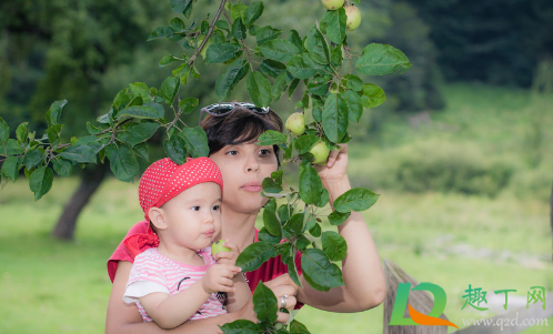 下雨天摘水果会不会容易烂(水果淋雨后易烂) 下雨天摘水果会不会容易烂(水果淋雨后易烂)