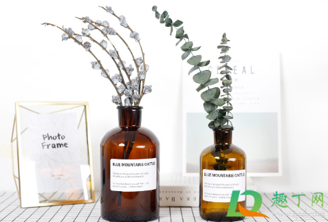 插花水里放盐还是糖(绣球插花水里放盐还是糖)