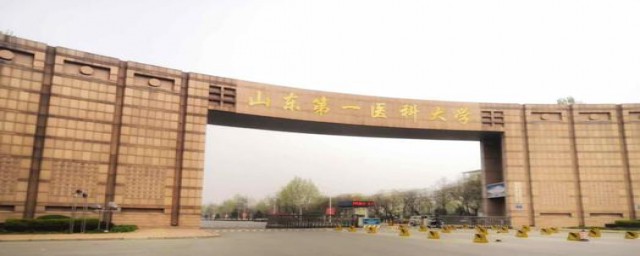 山东医科大学专业选科有什么要求(山东医学类大学选科要求)