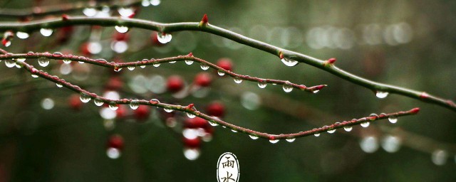 雨的四种形式(雨的形成有几种方式)