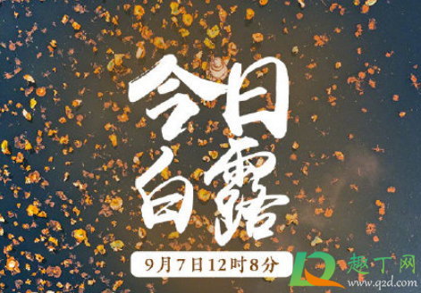 白露后天气还热吗2020(为何白露过后还是酷热天气)