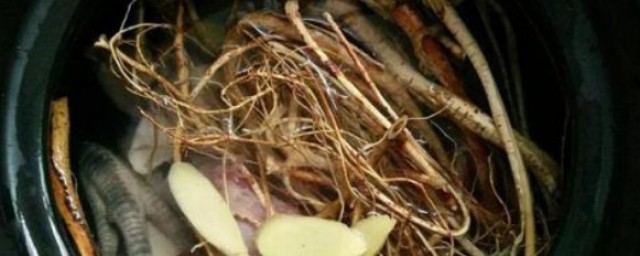 五指毛桃根的5个功效(五指毛桃根的功效作用)