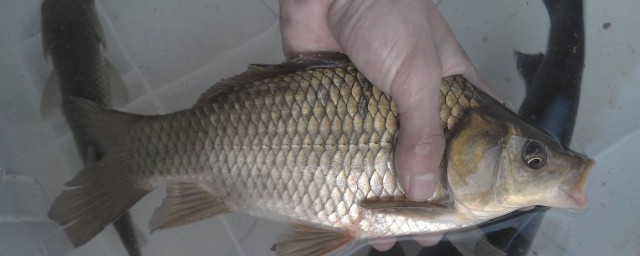 这三款一定要收藏(收藏的款式)