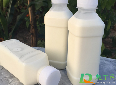 喝现挤羊奶后呕吐怎么回事(喝羊奶会吐,是羊奶的问题吗)